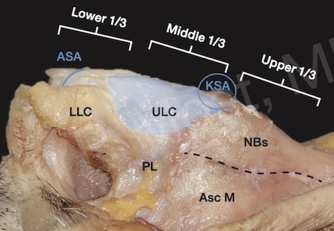 Fig 1-2