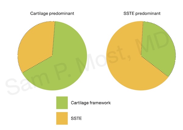 SSTE-predominant vs cartilage-predominant tip pie chart