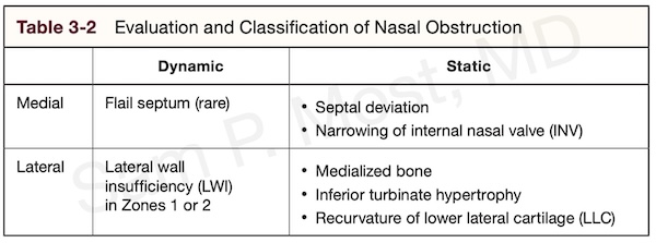 Figure 3–2: Static and dynamic contributors to nasal obstruction